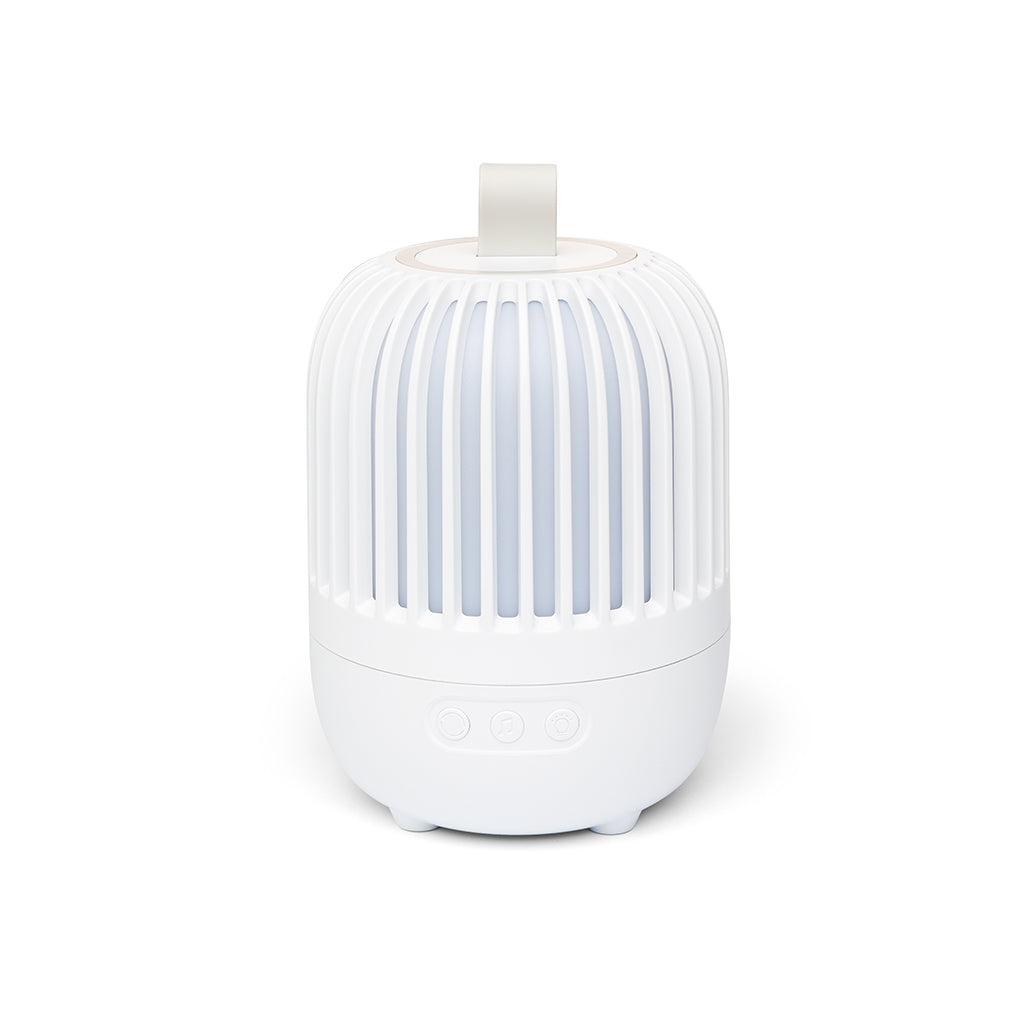 Little L, Ljus och musik Projektor