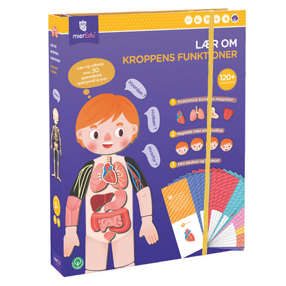 mierEdu, Magnetiskt lekset - Lär om kroppens funktioner