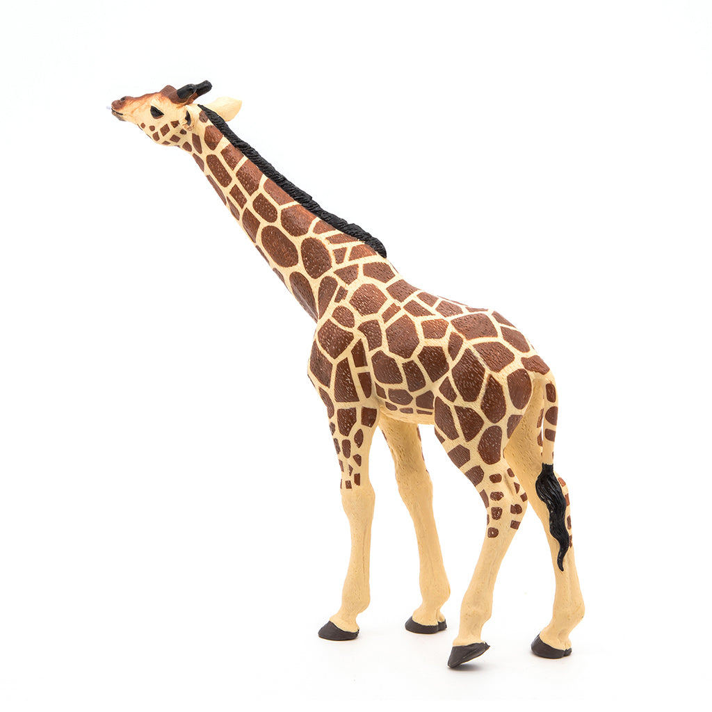 Papo Giraff
