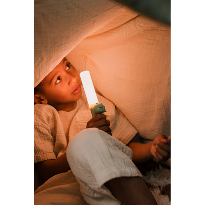 The ZooFamily, Zoo light, Lommelygte - Dino