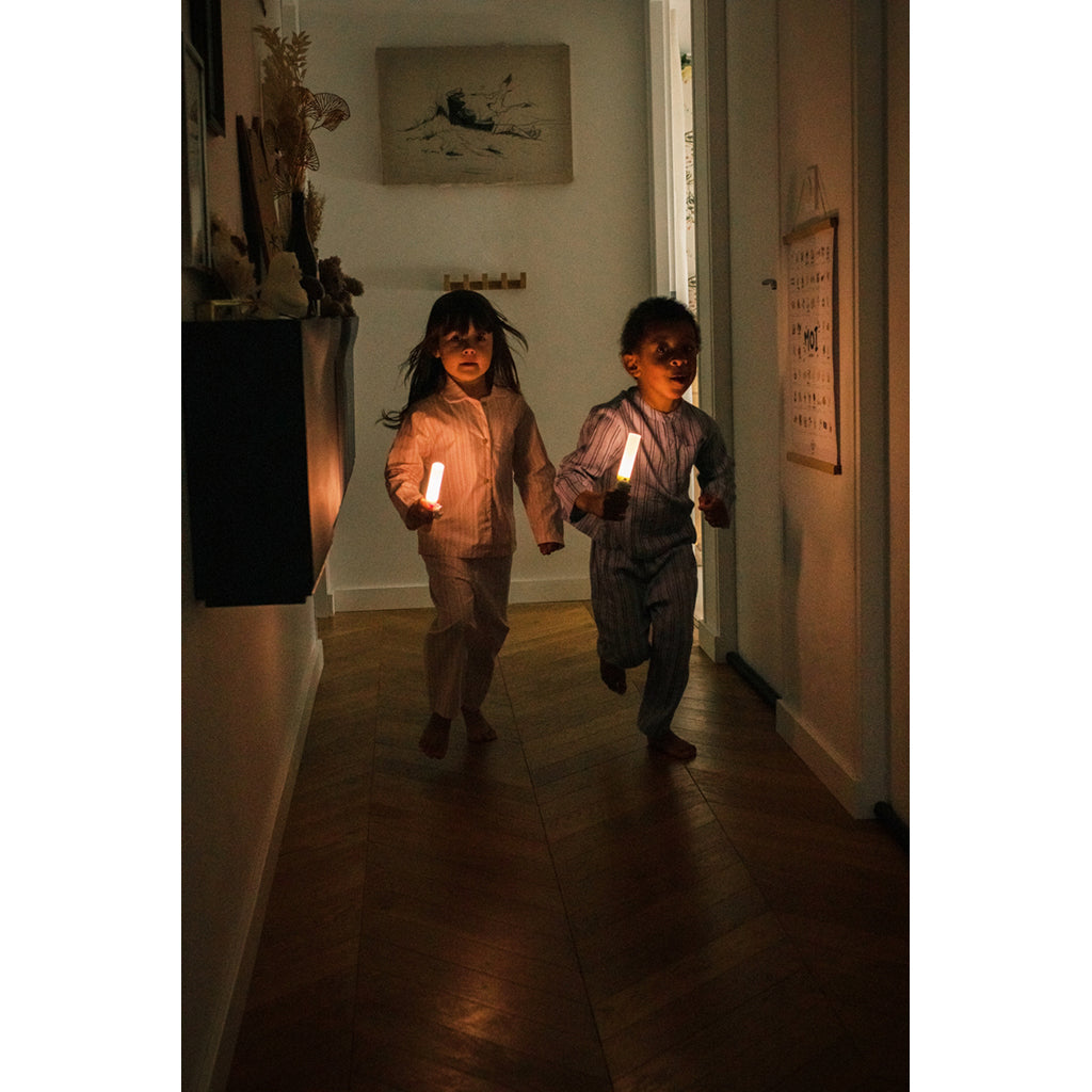 The ZooFamily, Zoo light, Lommelygte - Dino