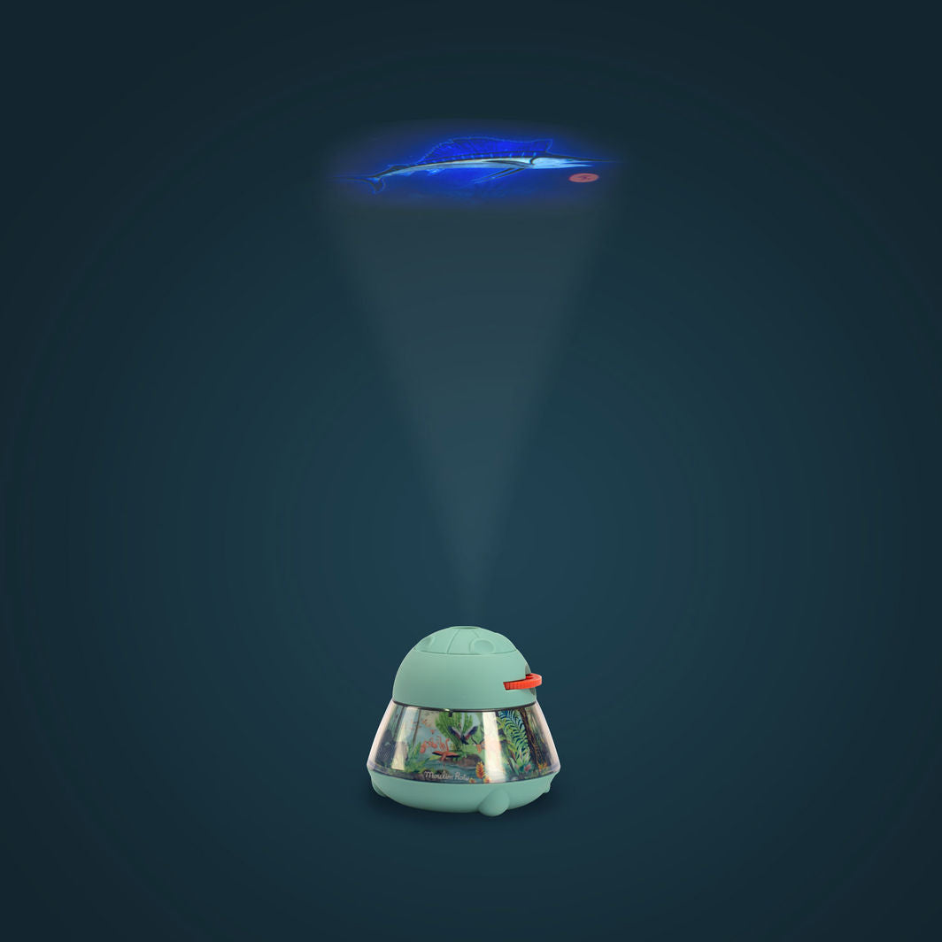 Moulin Roty Projektor (uppladdningsbar), Tout autour du monde