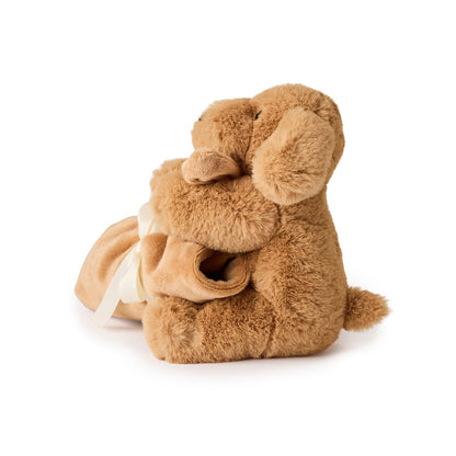 Teddy Hermann Nusseklud, Hund - Brun