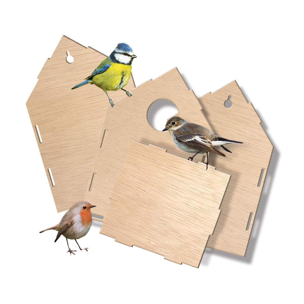 SES Creative, Bygg själv – Fågelhus