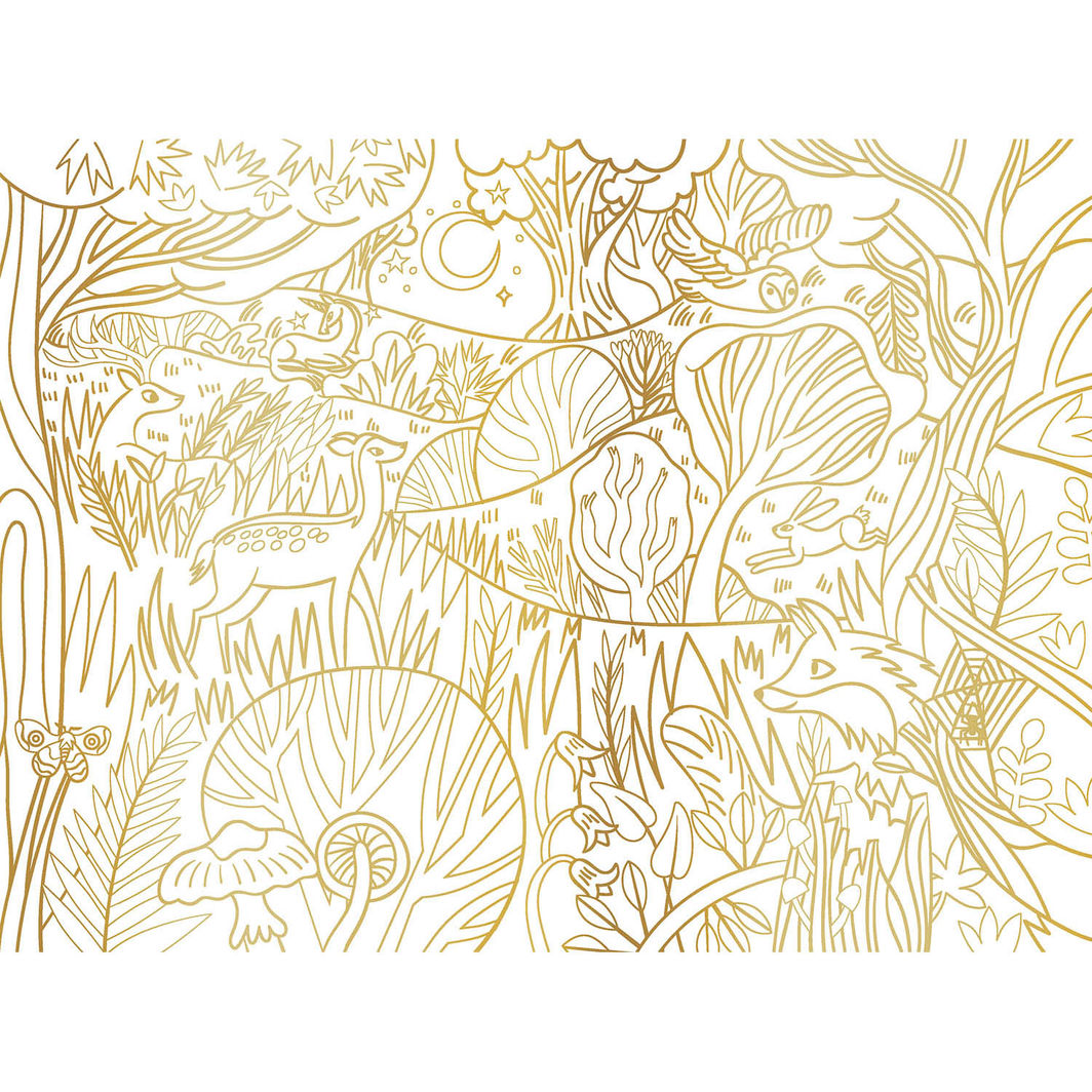 Auzou Målarbok, Förtrollande motiv