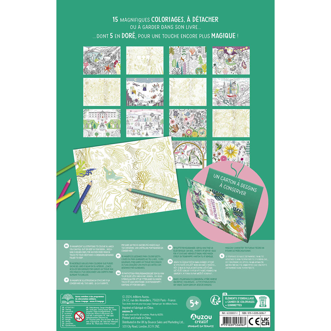 Auzou Målarbok, Förtrollande motiv