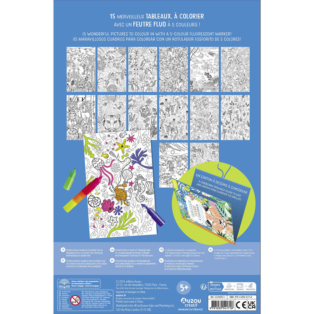 Auzou Målarbok, Neonmotiv