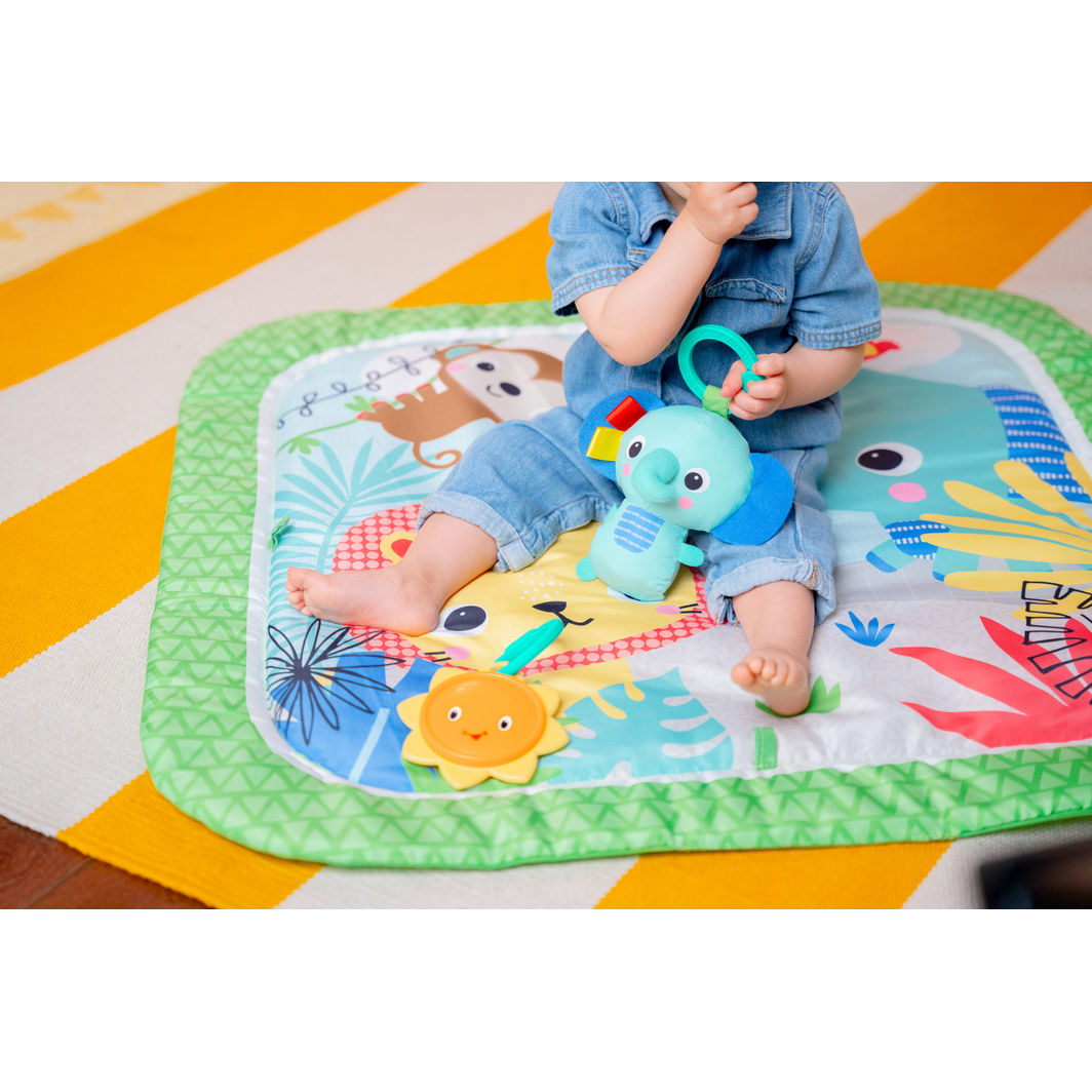 Bright Starts Aktivitetsmatta, Wild Wiggles™ FoldAway™