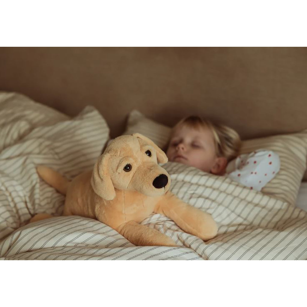 By Astrup tyngdedjur, hund – 2,2 kg