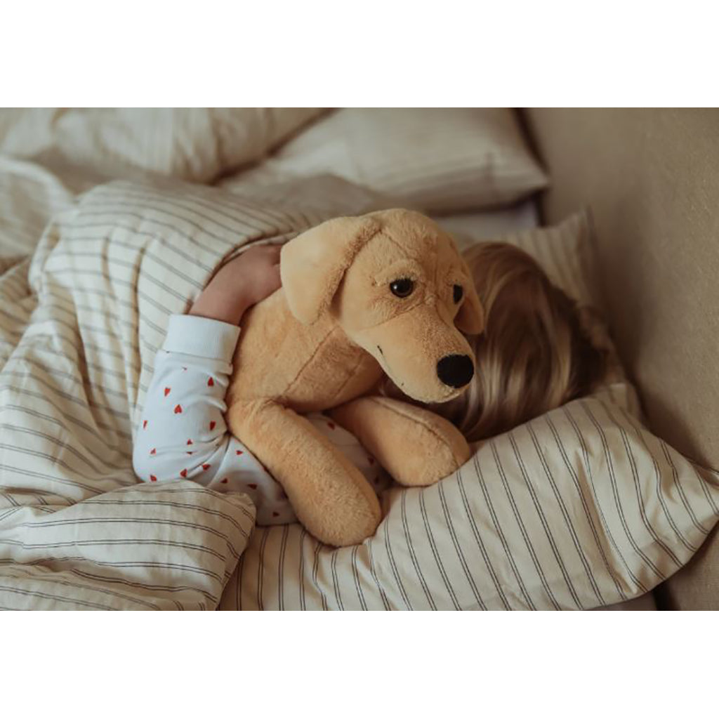 By Astrup tyngdedjur, hund – 2,2 kg