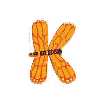 Djeco djurbokstäver