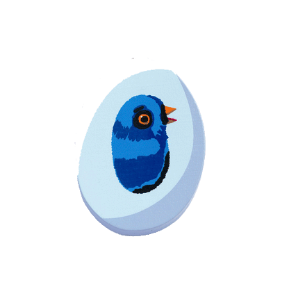 Djeco djurbokstäver