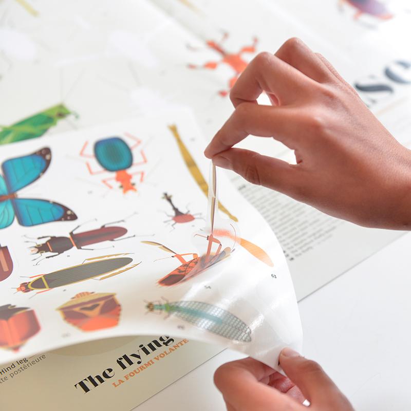 Poppik klistremosaik i papir, Plakat og 44 klistermærker - Insekter