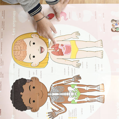 Poppik klistremosaik i papper, Lärande affisch med 48 klistermärken – Kroppen