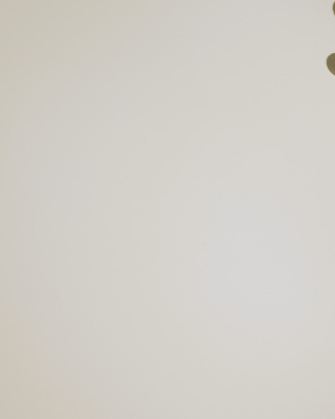 Modu skumbold, Sand grey/ Honey yellow