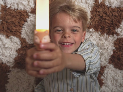 Video af The ZooFamily, Zoo light, Lommelygter