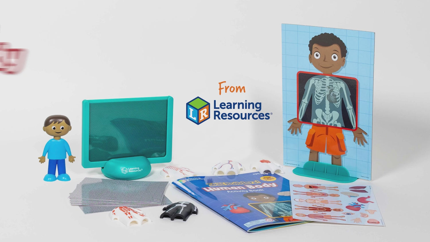 Produktvideo, Lær om kroppen med Learning Resources, Skill Builders 