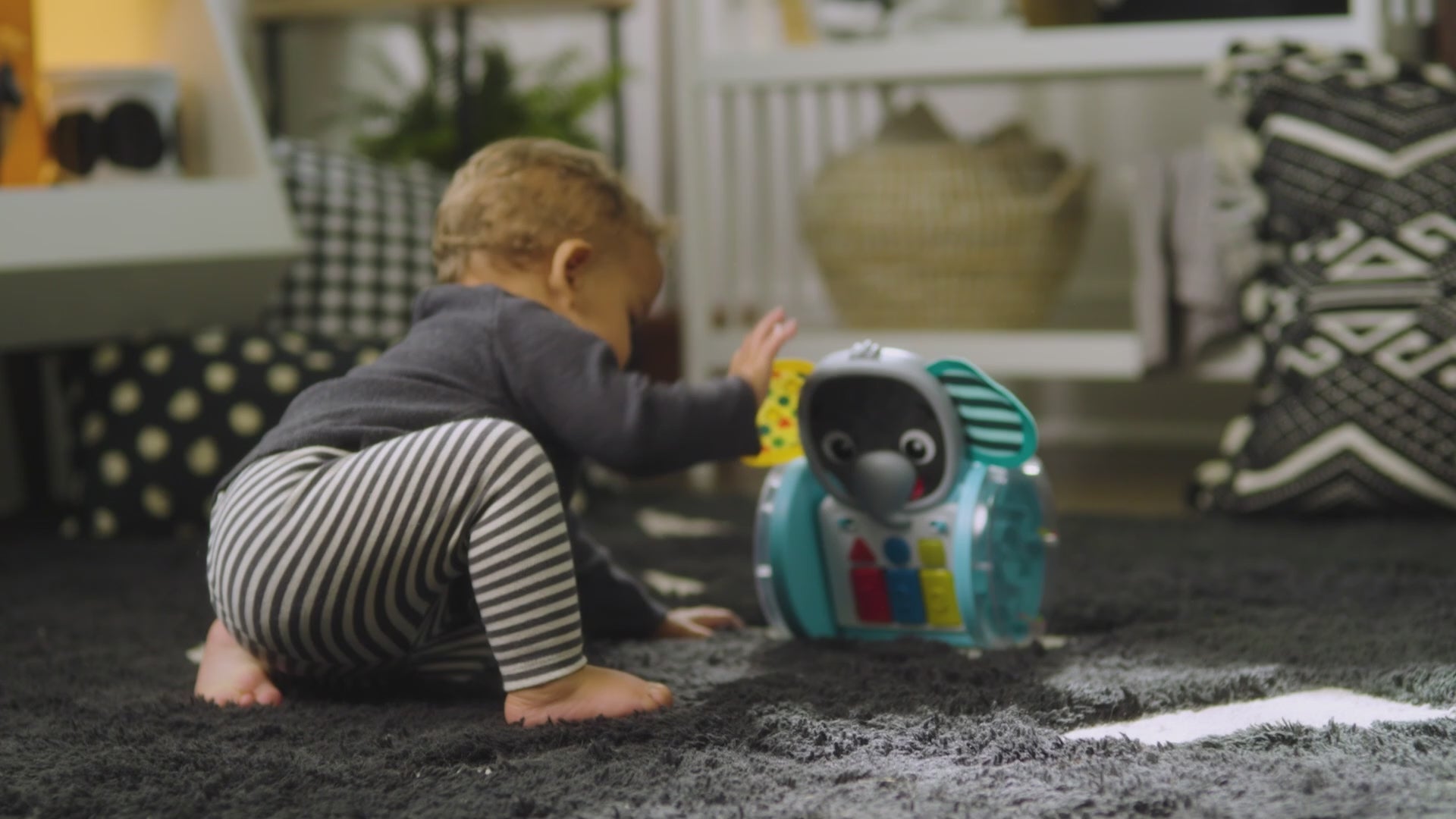 Video med BABY Einstein Chase & Tap Earl™ kravle- og aktivitetslegetøj