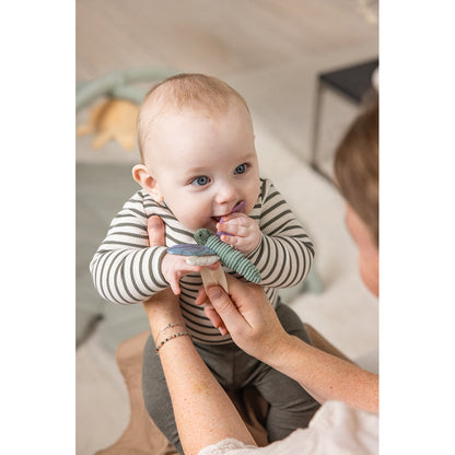 Sebra aktivitetsleksaker, 3 st. blomma, trollslända, svan