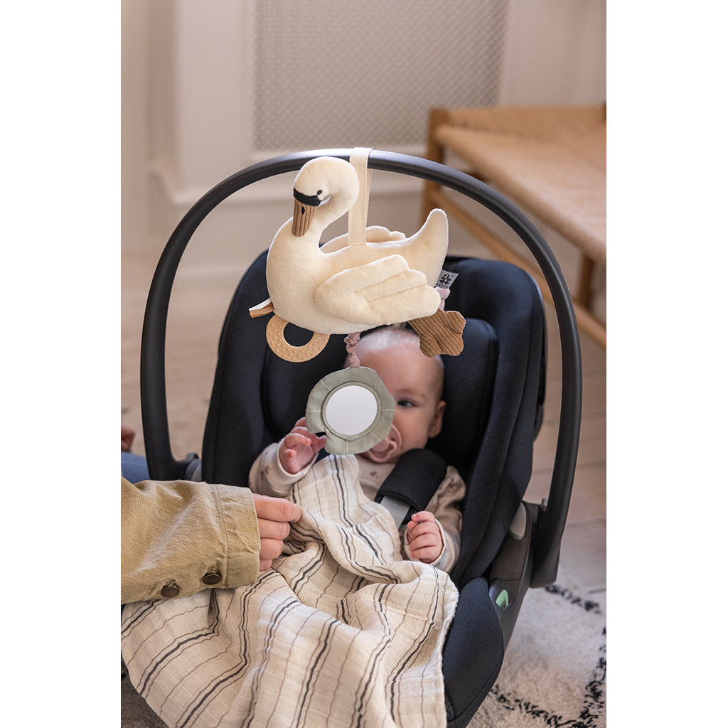 Sebra Aktivitetsleksak, Svan