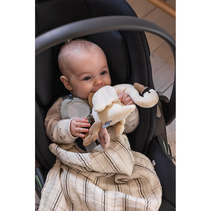 Sebra Aktivitetsleksak, Svan