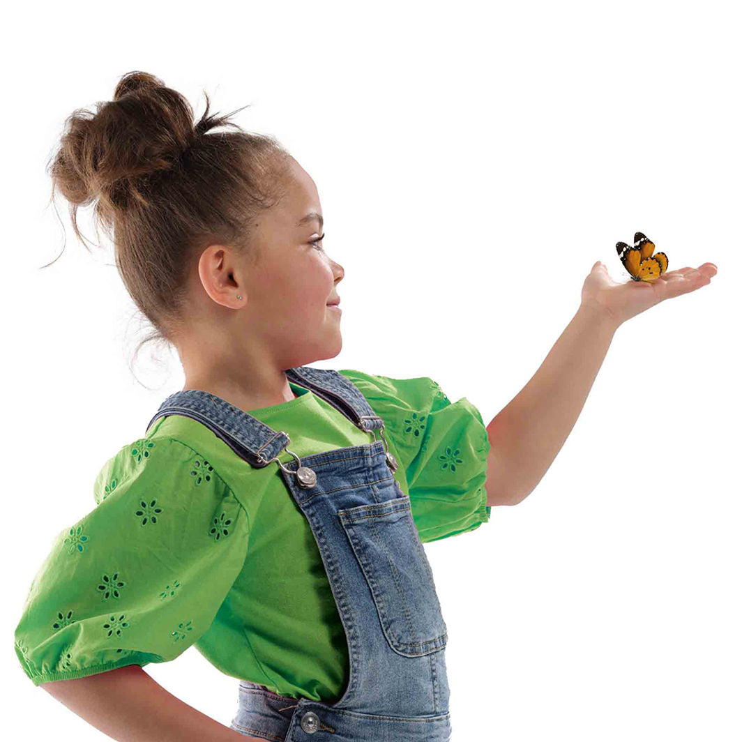 SES Creative Insektshotell, Fjärilar