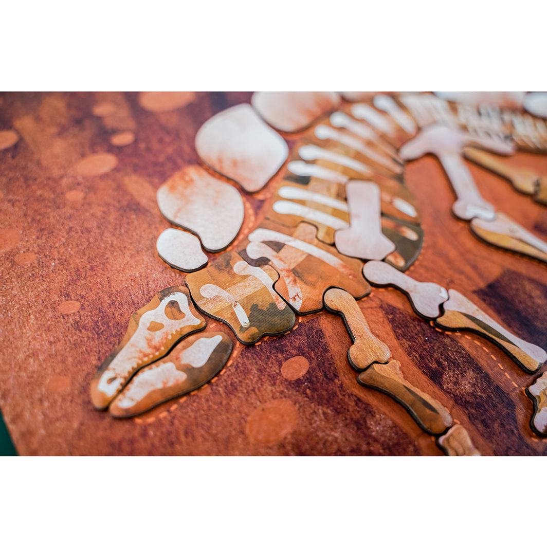 mierEdu, Magnetisk lekplatta/pussel - Stegosaurus