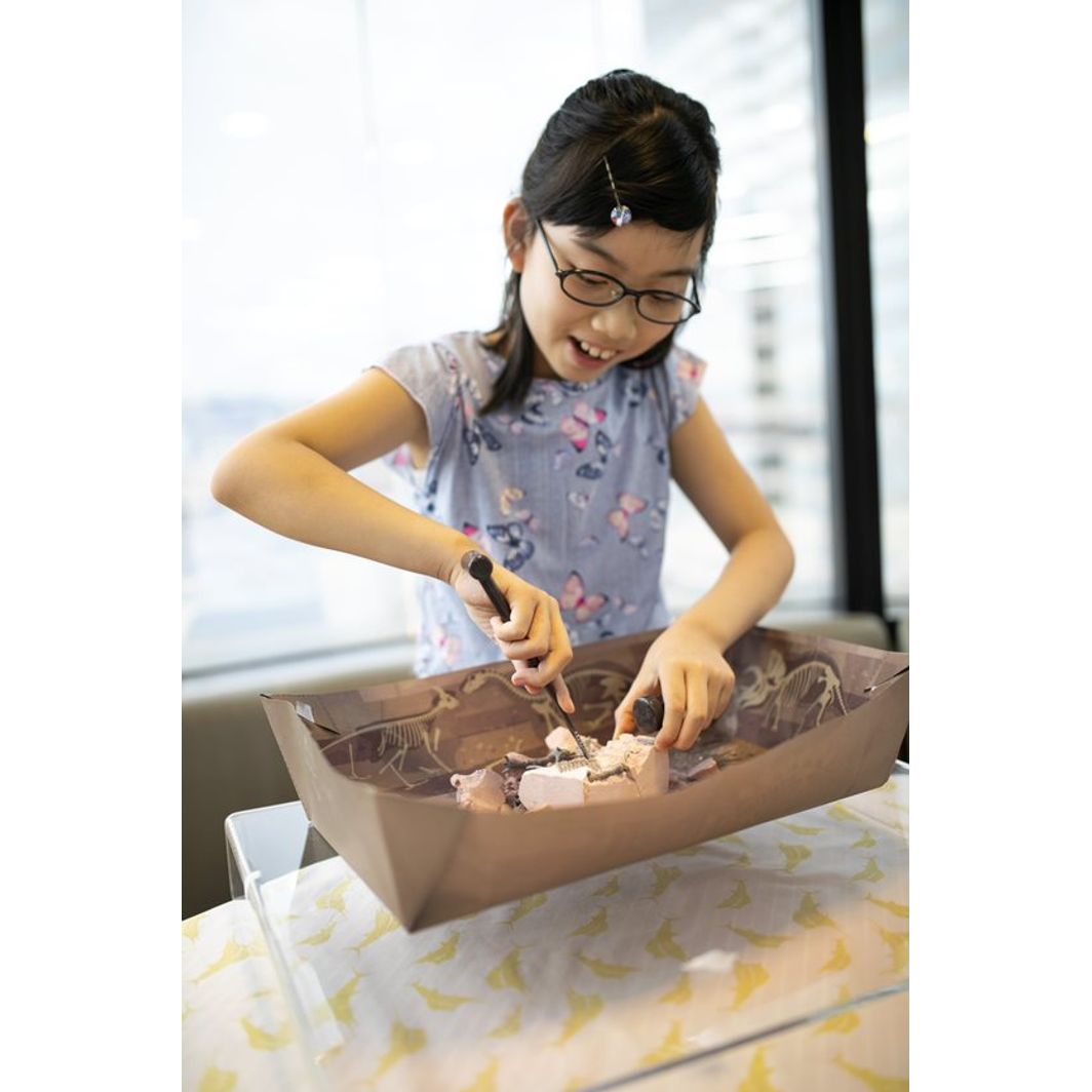 4M Ångdrivet för barn, Dinosauriernas värld