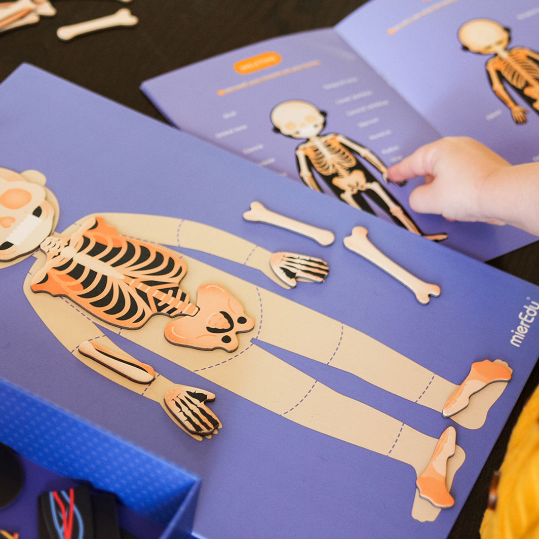 mierEdu, Magnetiskt lekset - Lär om kroppens funktioner