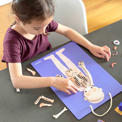 mierEdu, Magnetiskt lekset - Lär om kroppens funktioner