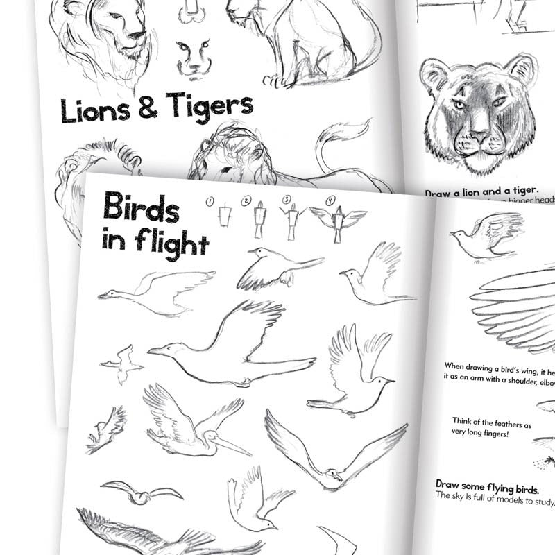 Artbook, lær at tegne dyr - for børn fra 7 år