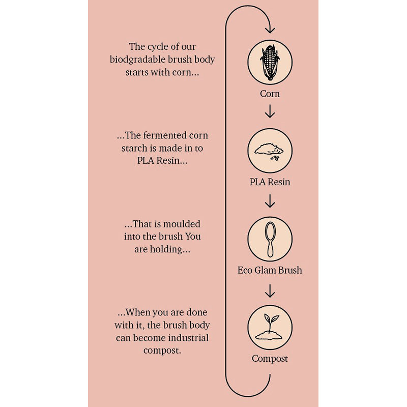 Fan Palm hårborste, Eco Glam - Medium