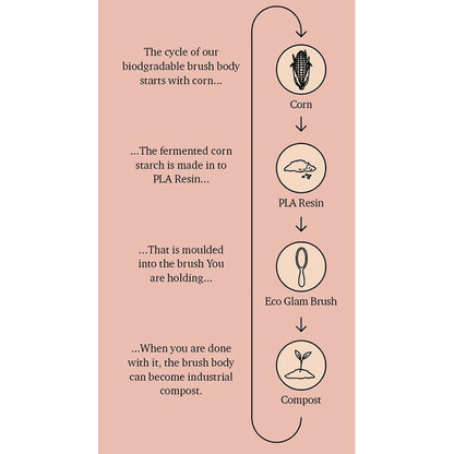 Fan Palm hårborste, Eco Glam - Medium