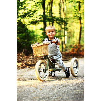 Trybike cykelkorg i flätad design