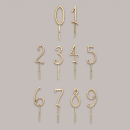 Konges Sløjd Fødselsdagstog, Cirkus karavane