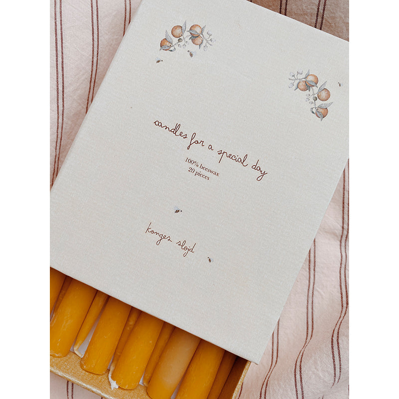 Konges Sløjd ljus till födelsedagståg, Nature