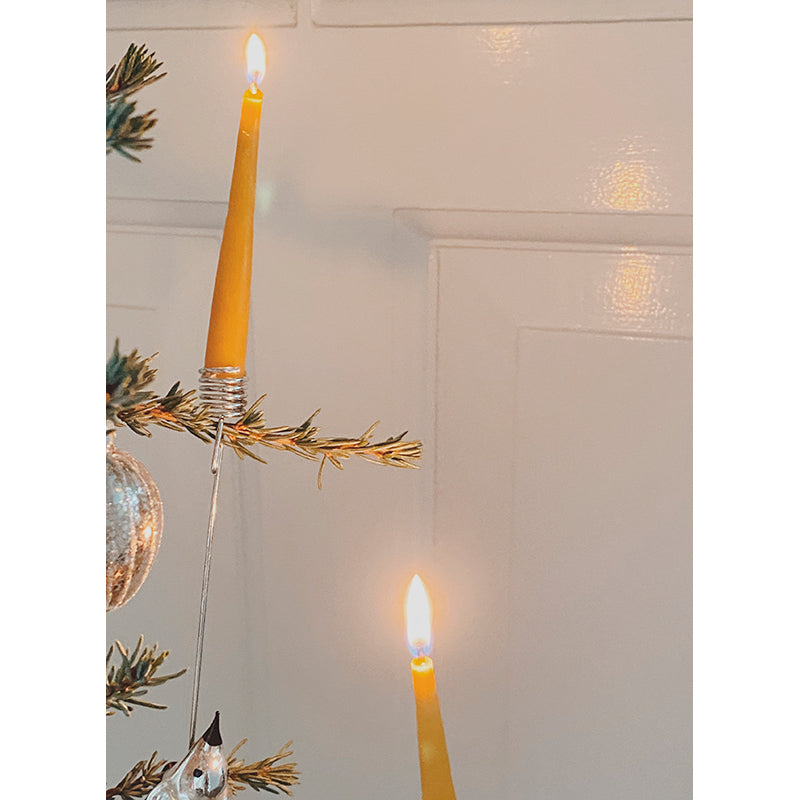 Konges Sløjd ljus till födelsedagståg, Nature