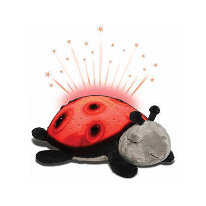 Natlampe som danner stjernehimmel, mariehøne - rød