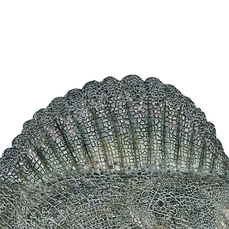 Papo dinosaur, spinosaurus