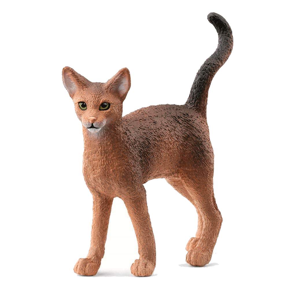 Schleich Abyssinierkatt